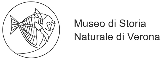 Verona Natural History museum